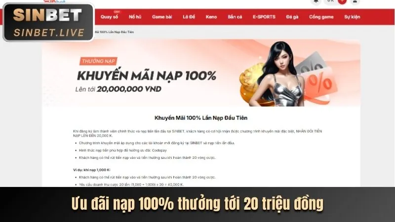 Hoàn trả cao hơn